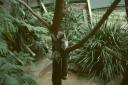 Sydney, Taronga Zoo